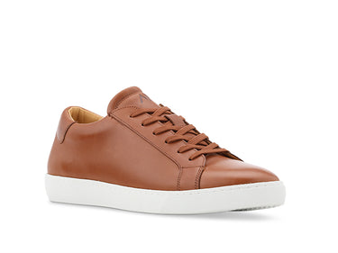 Dress Sneaker In Brown Leather - Ace Marks