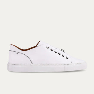 Art Thin Leather Sneaker in White - Ace Marks