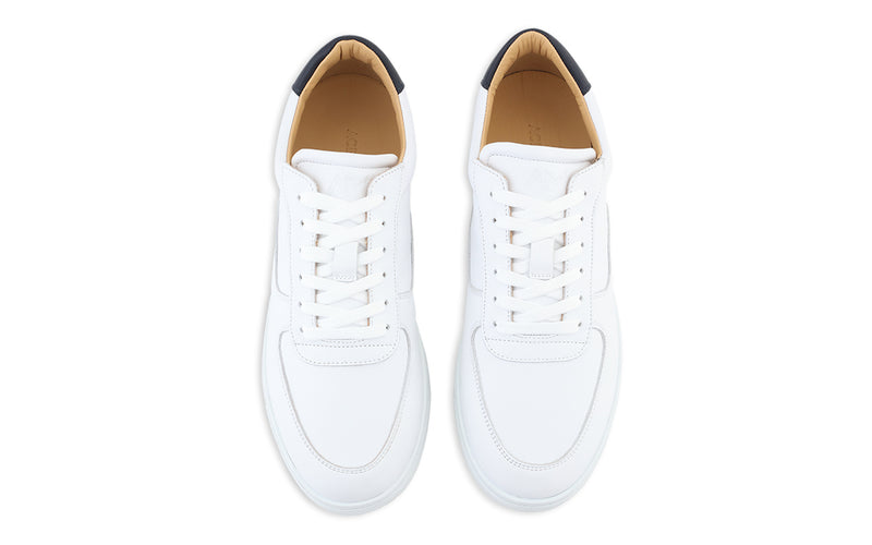 Dress Sneakers in White and Navy - Ace Marks