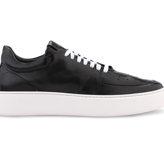 Ace marks 2025 black friday