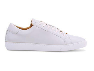 Dress Sneaker In Crema Leather Ace Marks
